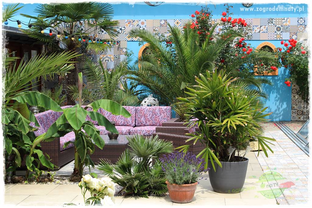 Pomysły na taras 7