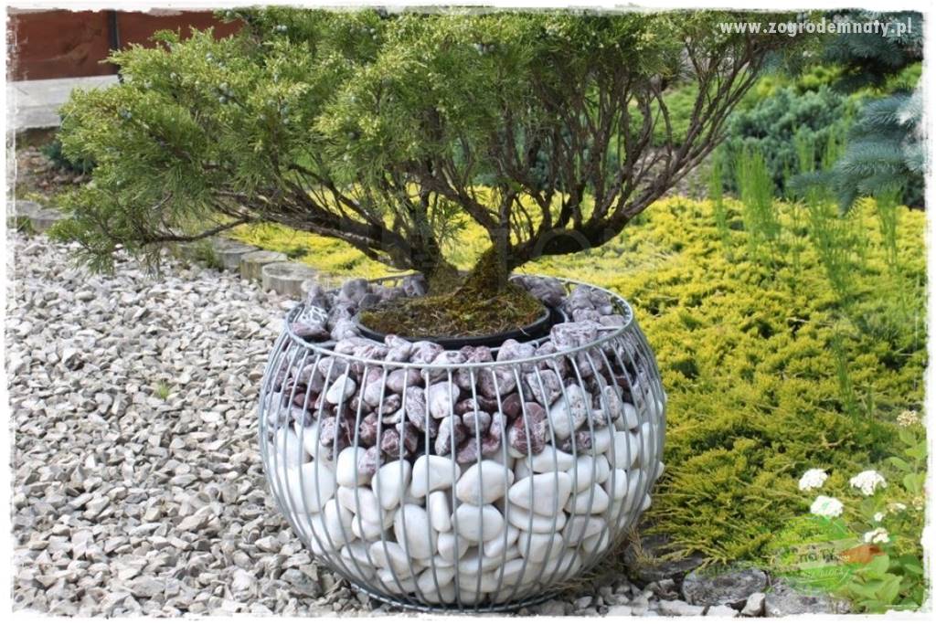 dekoracje ogrodowe z gabionów 24 dekoracje ogrodowe z gabionów 24