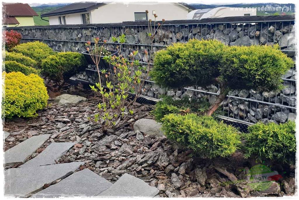 dekoracje ogrodowe z gabionów 6 dekoracje ogrodowe z gabionów 6