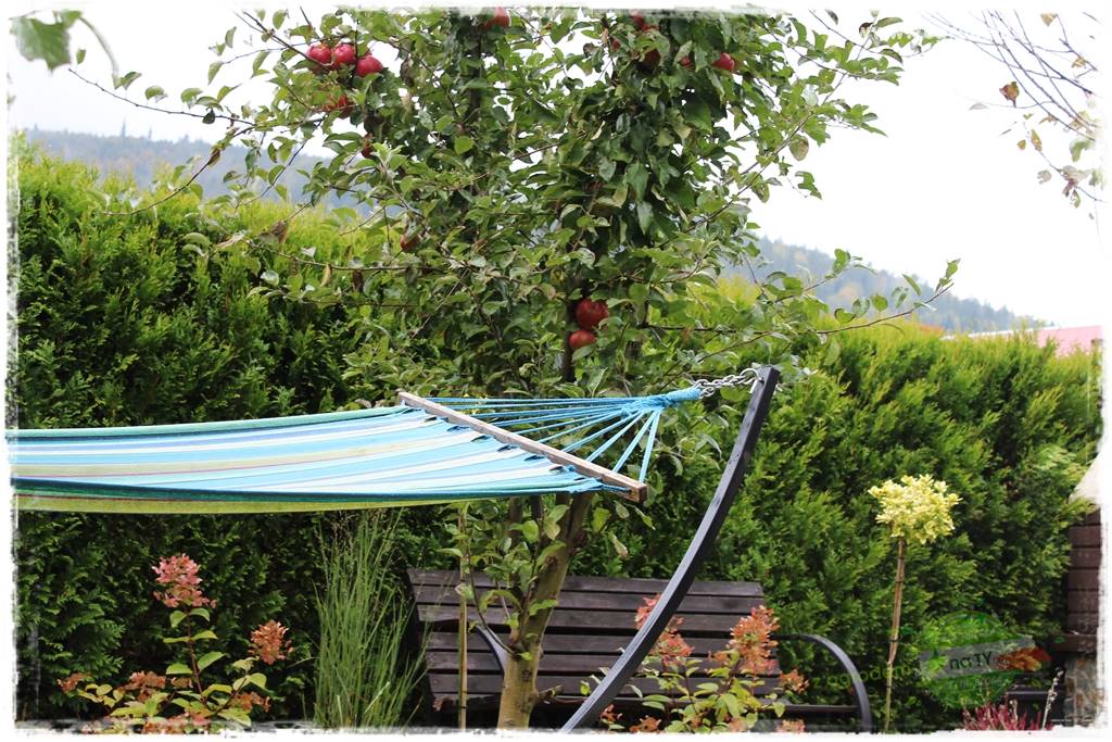 jak zbierać owoce do przechowywania 11 jak zbierać owoce do przechowywania 11