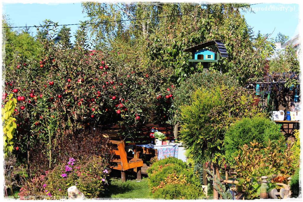 jak zbierać owoce do przechowywania 14 jak zbierać owoce do przechowywania 14