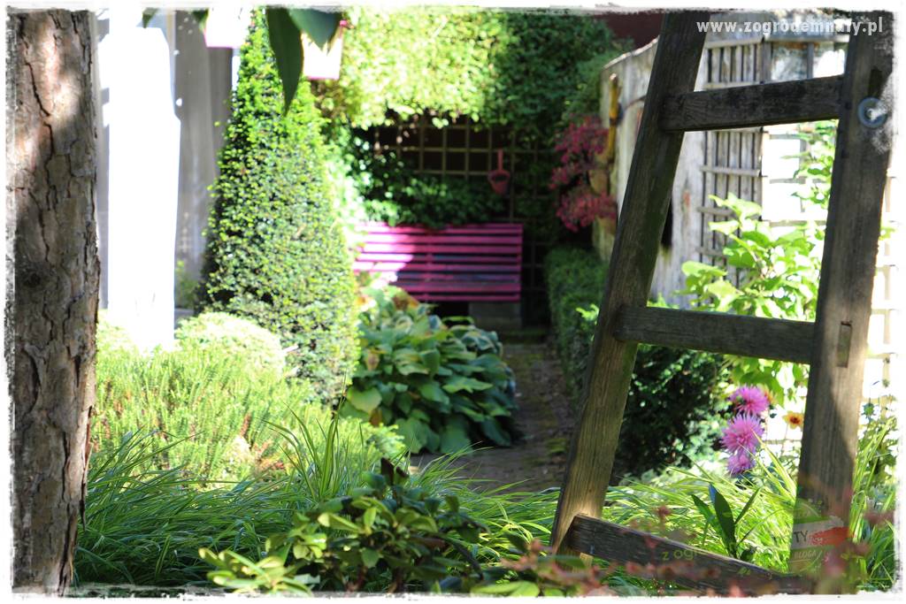 jak zbierać owoce do przechowywania 18