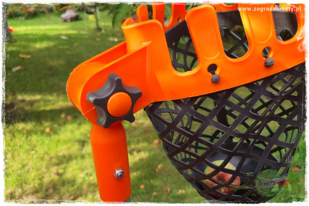 jak zbierać owoce do przechowywania 25 jak zbierać owoce do przechowywania 25