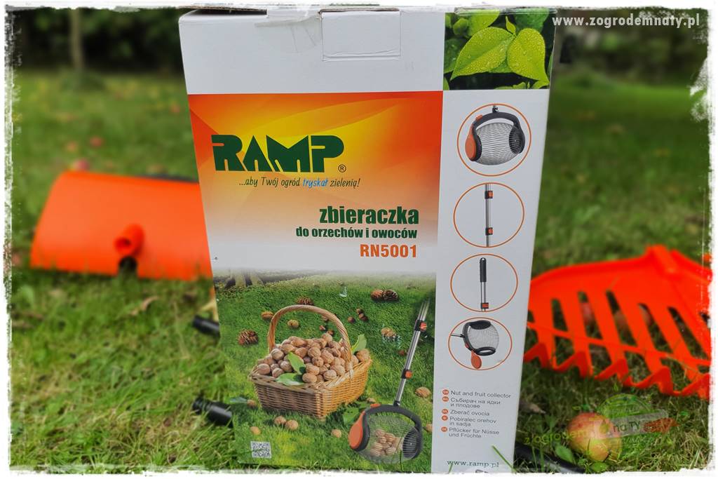 jak zbierać owoce do przechowywania 28 jak zbierać owoce do przechowywania 28