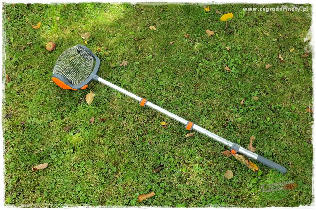 jak zbierać owoce do przechowywania 30 jak zbierać owoce do przechowywania 30