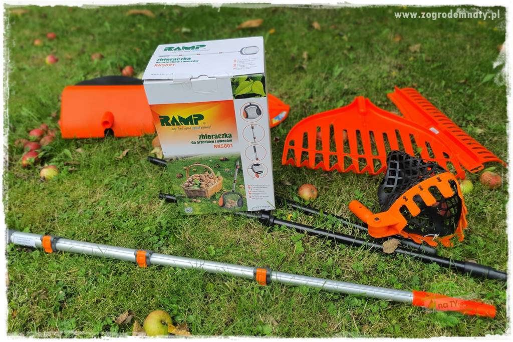 jak zbierać owoce do przechowywania 32 jak zbierać owoce do przechowywania 32