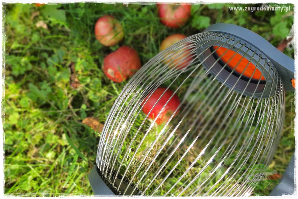 jak zbierać owoce do przechowywania 34 jak zbierać owoce do przechowywania 34