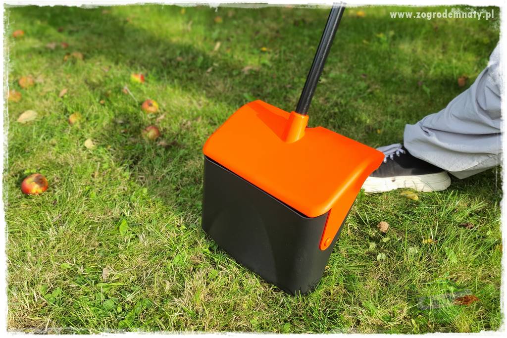 jak zbierać owoce do przechowywania 43 jak zbierać owoce do przechowywania 43