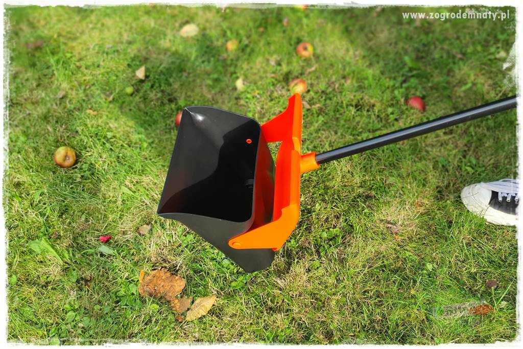 jak zbierać owoce do przechowywania 44 jak zbierać owoce do przechowywania 44