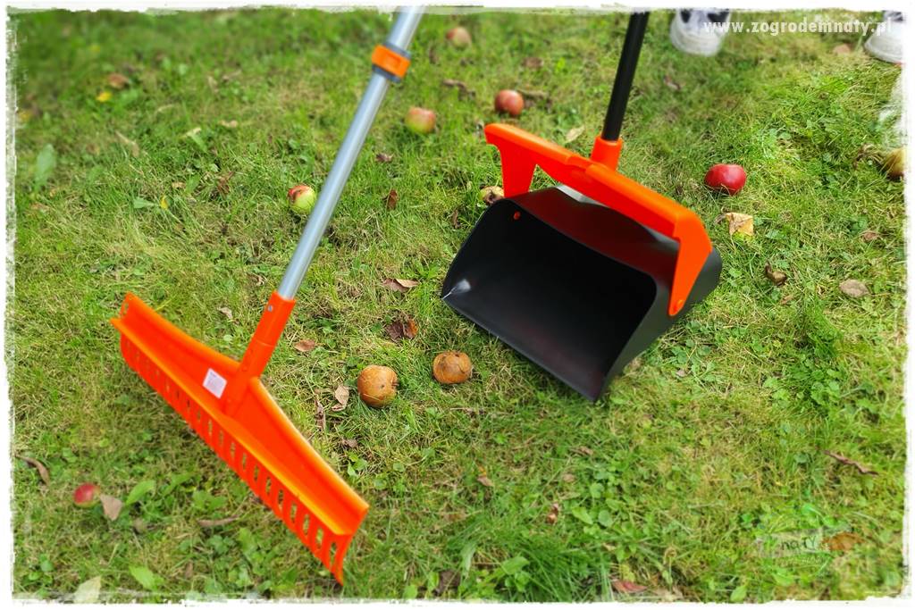 jak zbierać owoce do przechowywania 45 jak zbierać owoce do przechowywania 45