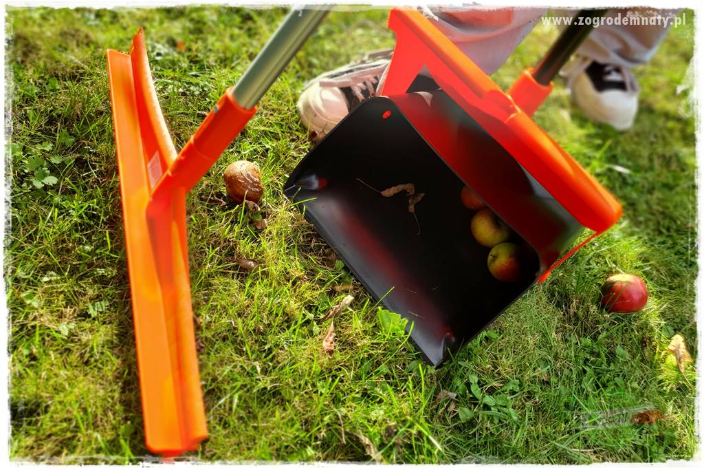 jak zbierać owoce do przechowywania 49