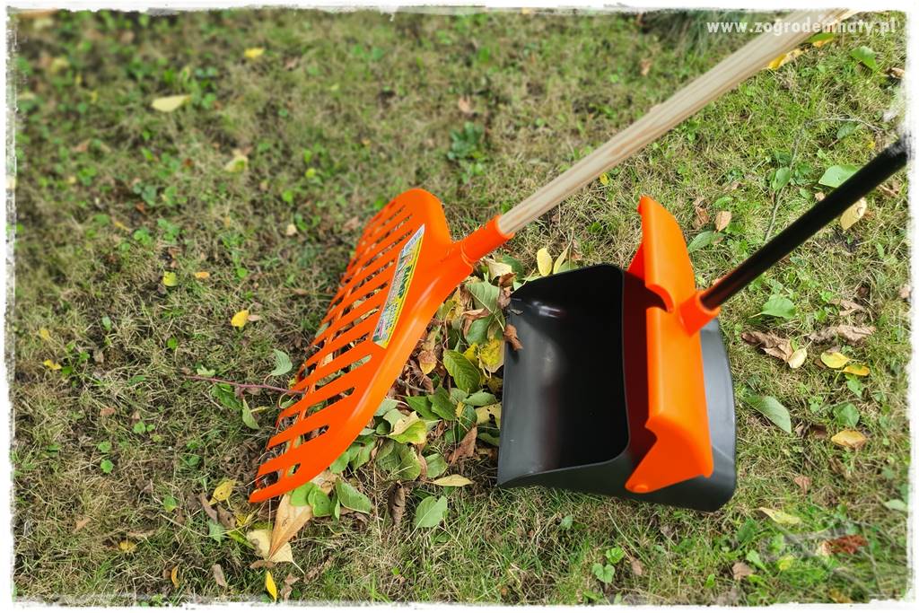 jak zbierać owoce do przechowywania 52 jak zbierać owoce do przechowywania 52