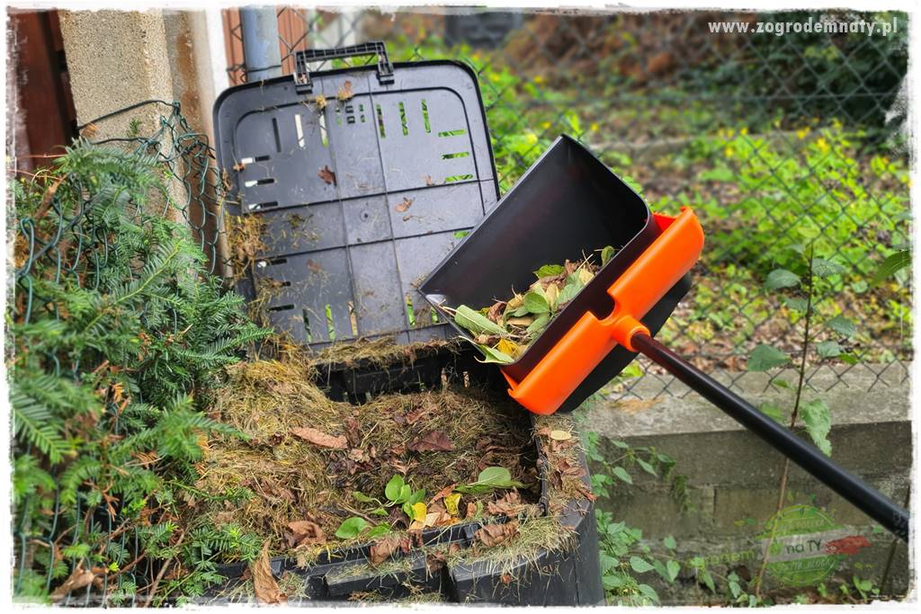 jak zbierać owoce do przechowywania 53 jak zbierać owoce do przechowywania 53