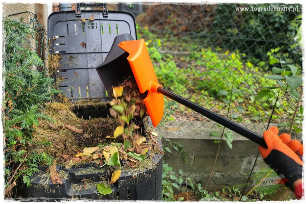 jak zbierać owoce do przechowywania 54 jak zbierać owoce do przechowywania 54