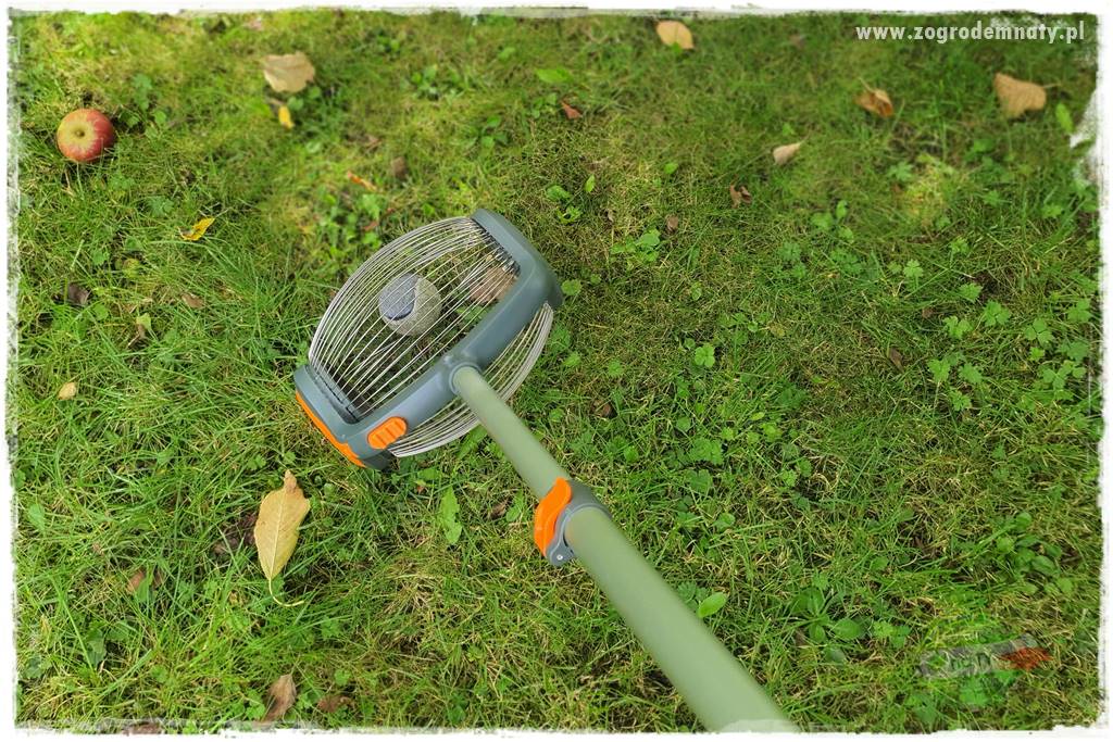 jak zbierać owoce do przechowywania 58 jak zbierać owoce do przechowywania 58