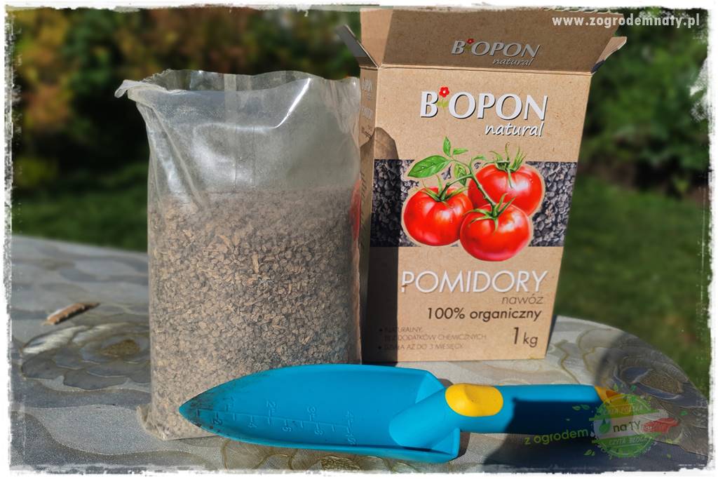 nawożenie pomidorów 14 nawożenie pomidorów 14