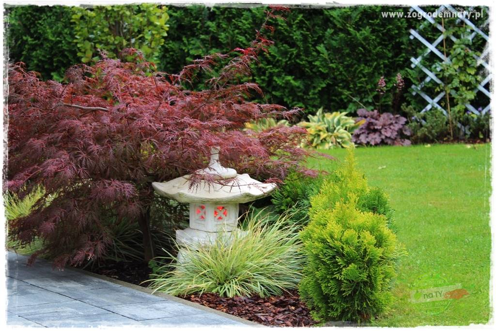 pomysły na oświetlenie ogrodu 24