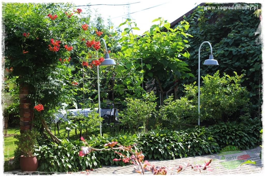 pomysły na oświetlenie ogrodu 27