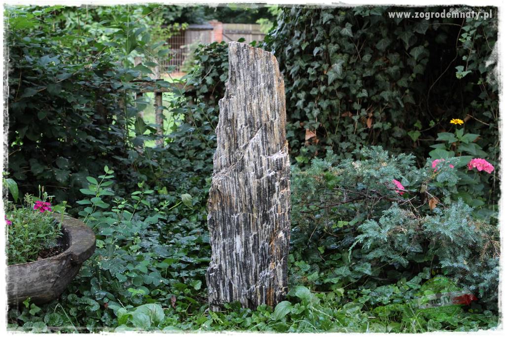 siedlisko łowickie 106