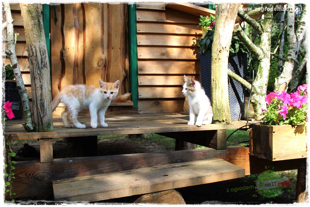 siedlisko łowickie 14