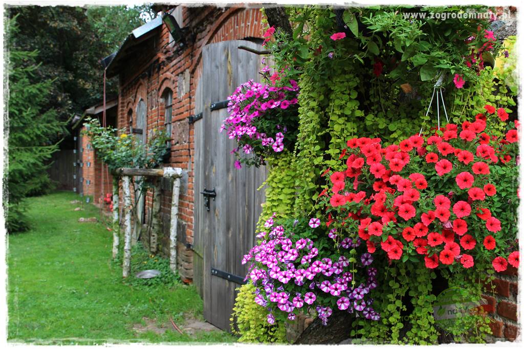 siedlisko łowickie 35