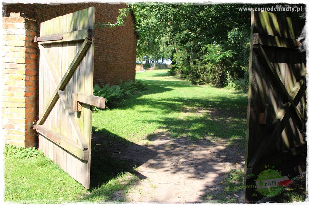 siedlisko łowickie 37