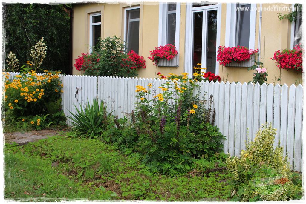 siedlisko łowickie 400