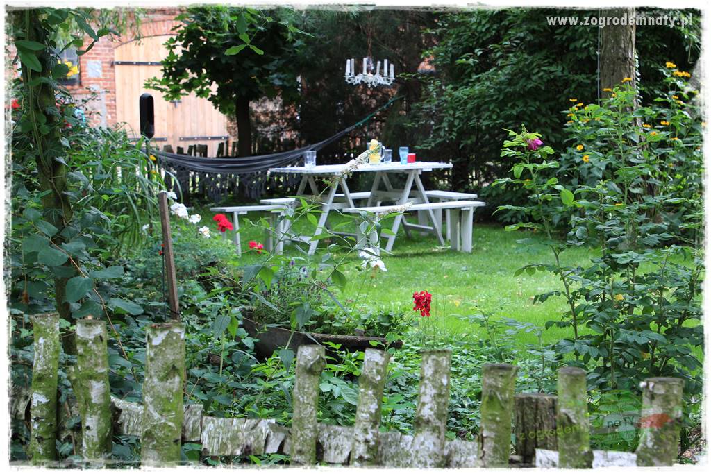 siedlisko łowickie 41