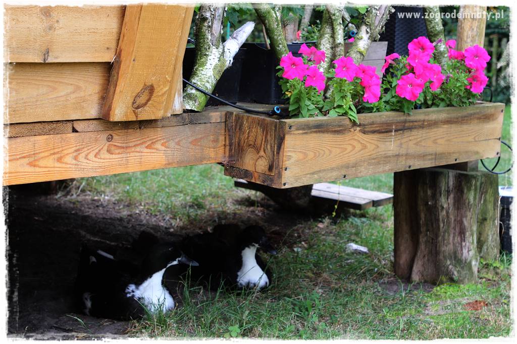 siedlisko łowickie 412