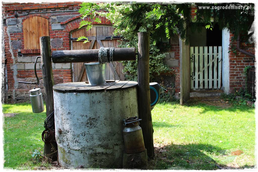 siedlisko łowickie 43