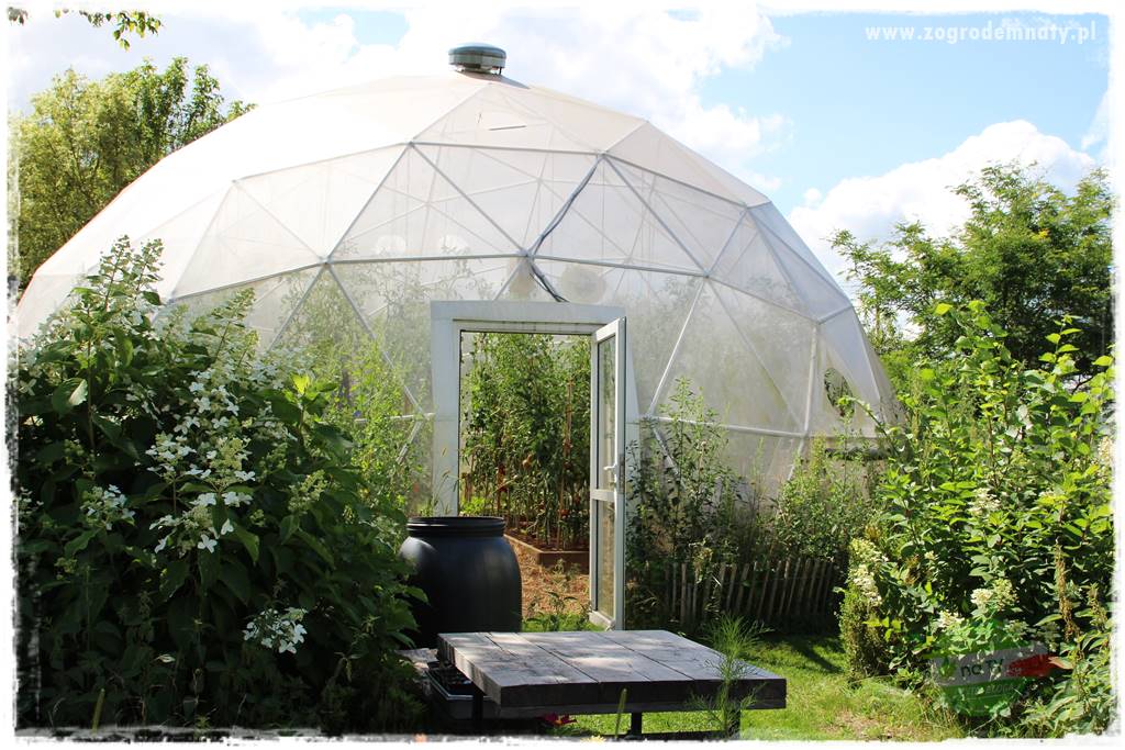 warzywa bez chemii 39 warzywa bez chemii 39