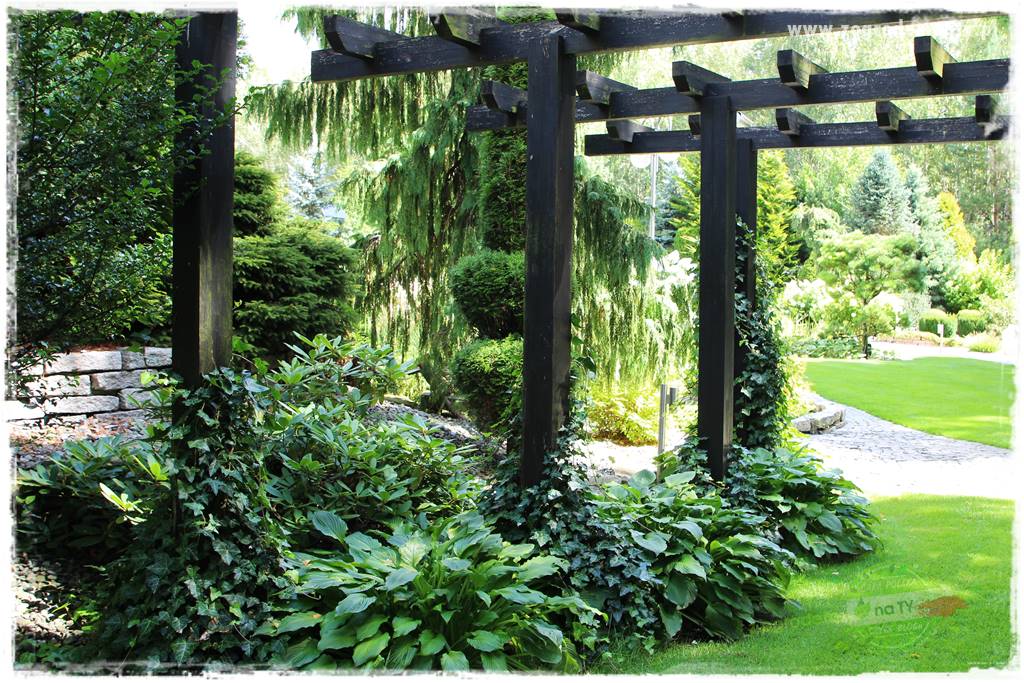 Hortensjowy raj 10 Hortensjowy raj 10