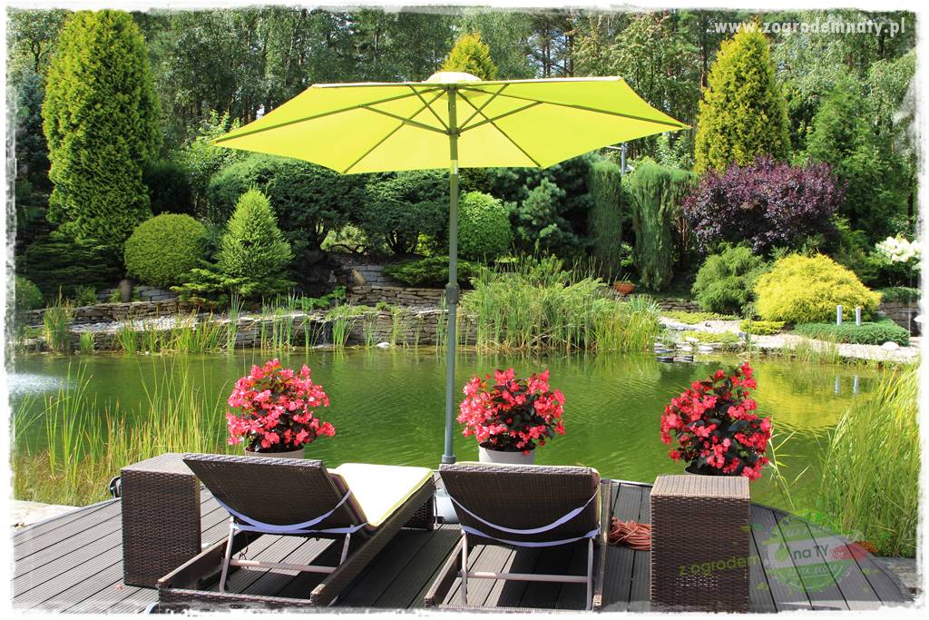 Hortensjowy raj 13 Hortensjowy raj 13