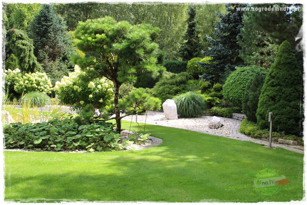 Hortensjowy raj 14 Hortensjowy raj 14