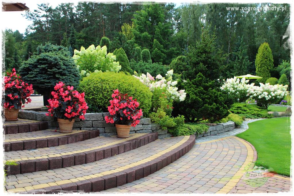 Hortensjowy raj 15 Hortensjowy raj 15