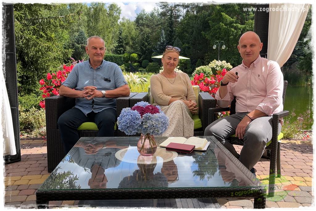 Hortensjowy raj 150a