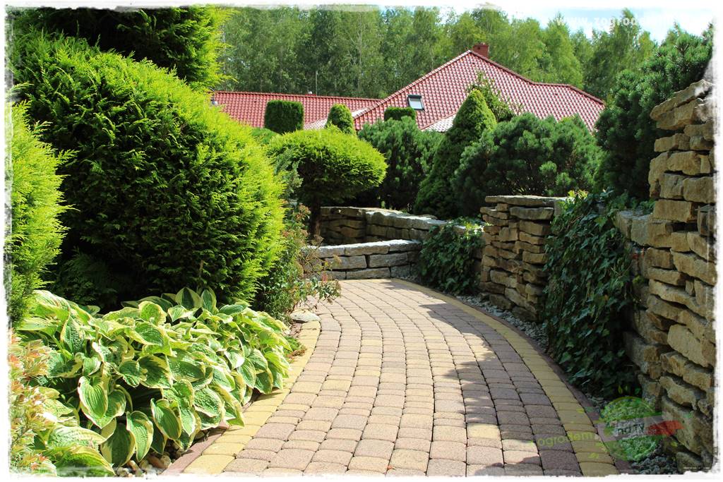 Hortensjowy raj 151 Hortensjowy raj 151