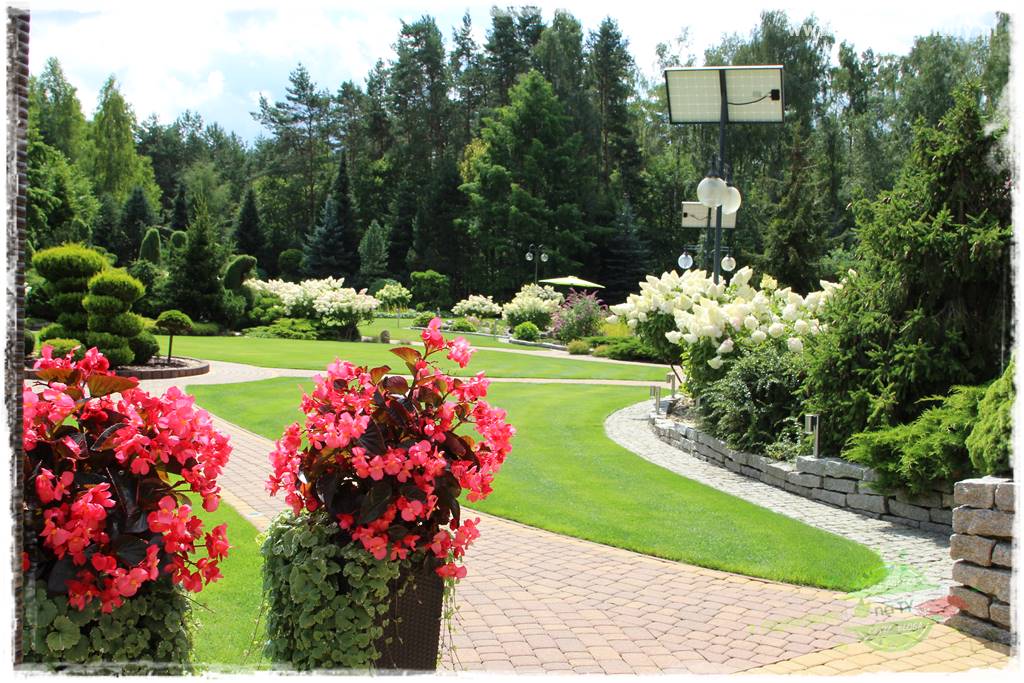 Hortensjowy raj 152 Hortensjowy raj 152