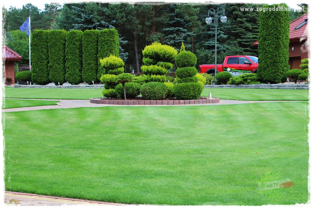 Hortensjowy raj 19 Hortensjowy raj 19