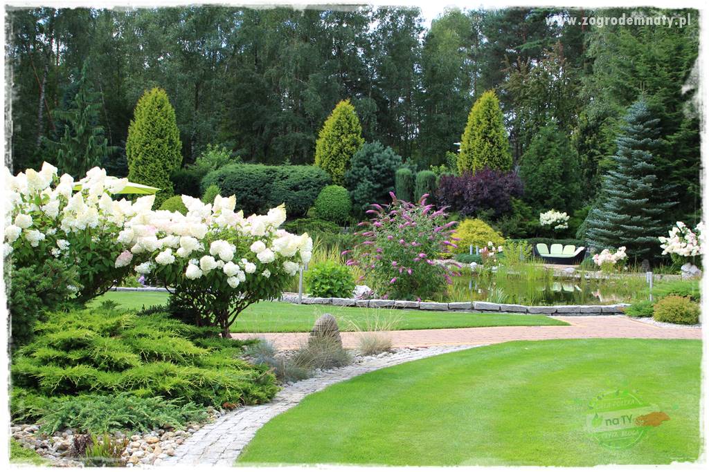 Hortensjowy raj 2 Hortensjowy raj 2