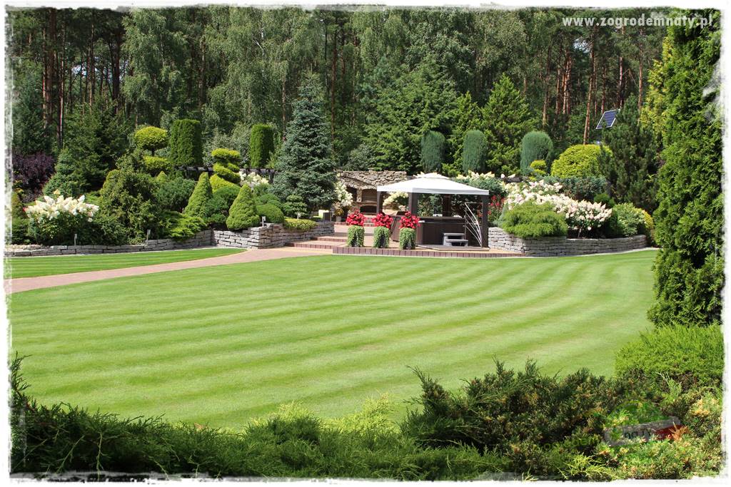 Hortensjowy raj 201 Hortensjowy raj 201