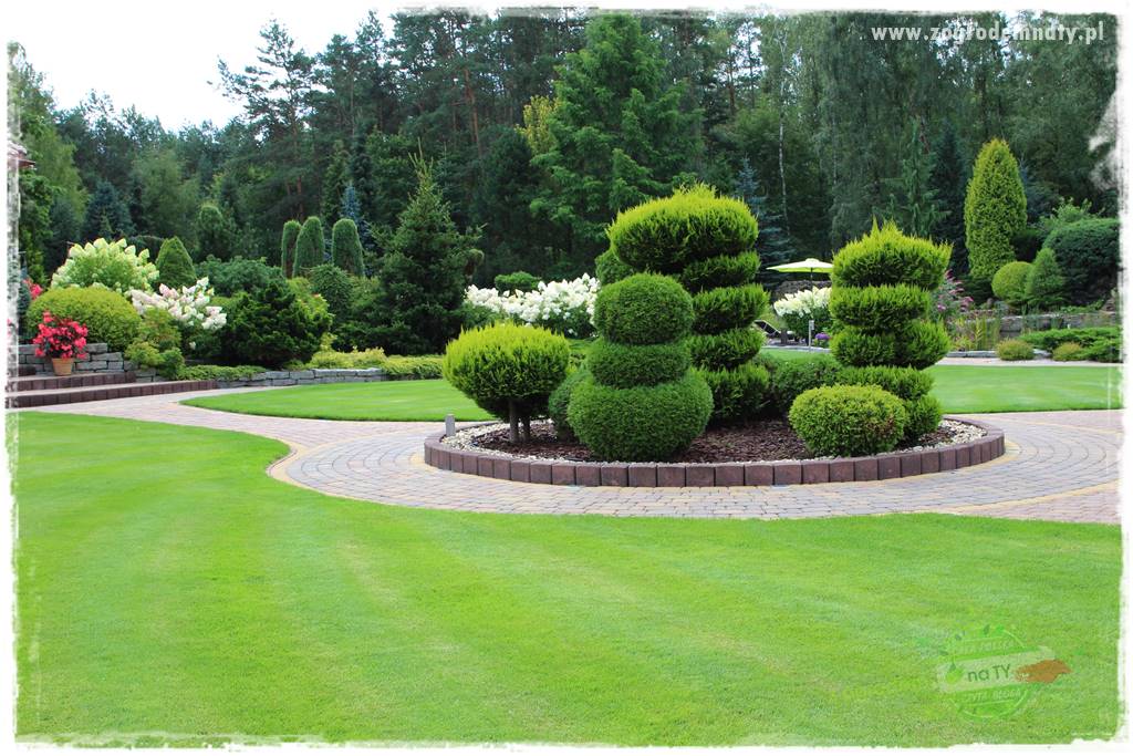 Hortensjowy raj 202 Hortensjowy raj 202