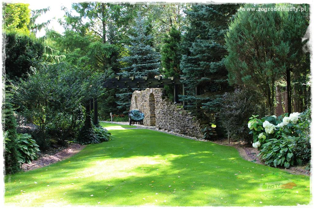 Hortensjowy raj 203 Hortensjowy raj 203