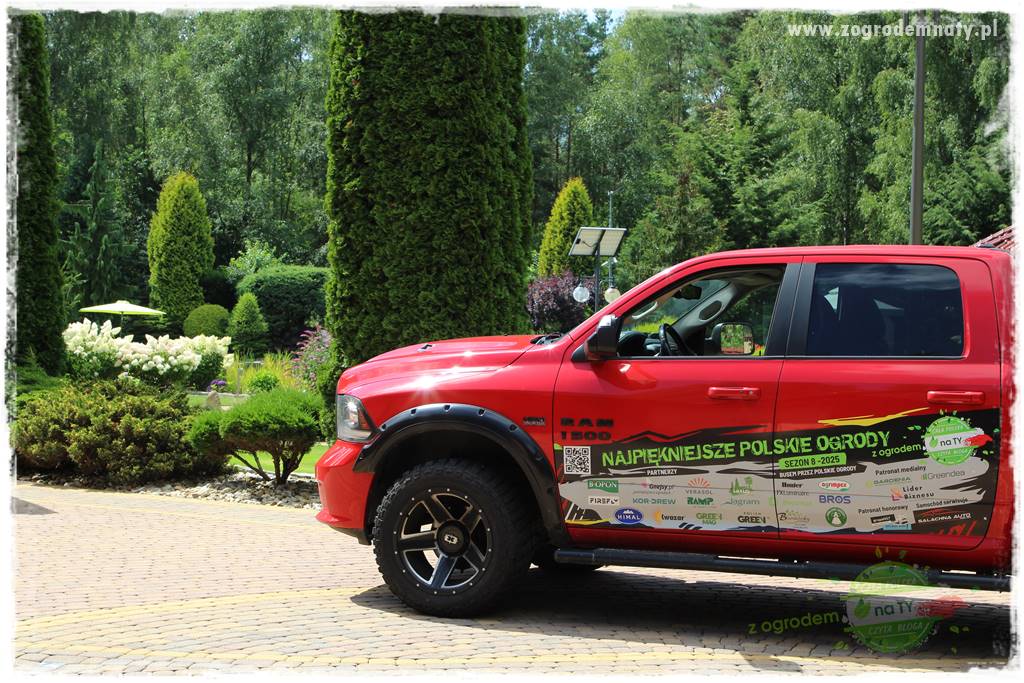 Hortensjowy raj 21 Hortensjowy raj 21