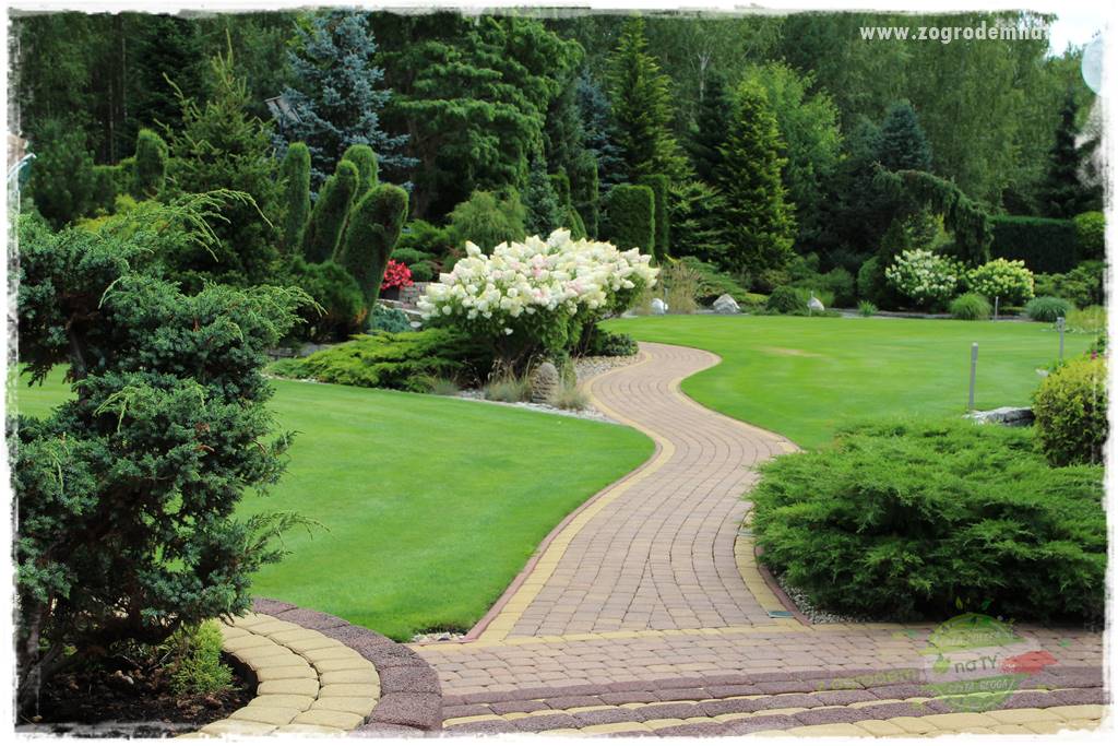 Hortensjowy raj 23 Hortensjowy raj 23