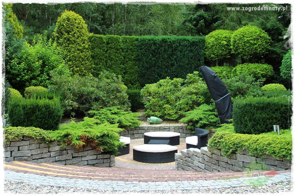 Hortensjowy raj 24 Hortensjowy raj 24