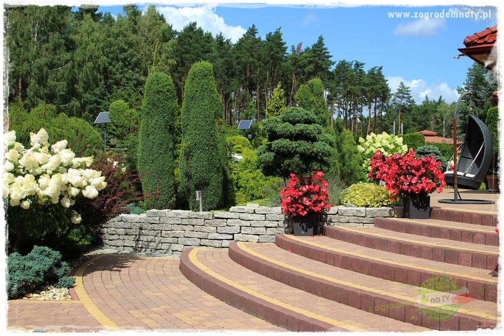 Hortensjowy raj 25 Hortensjowy raj 25