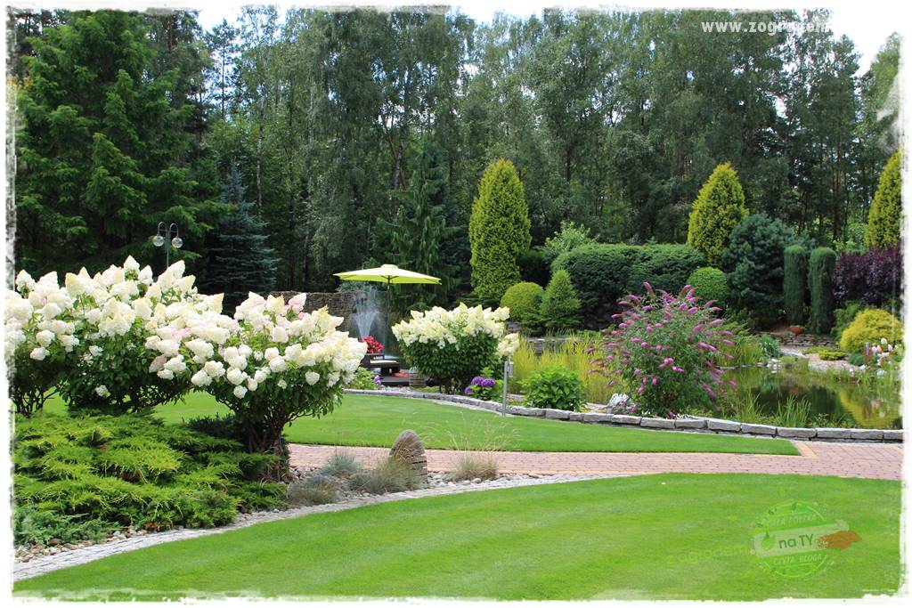 Hortensjowy raj 26 Hortensjowy raj 26