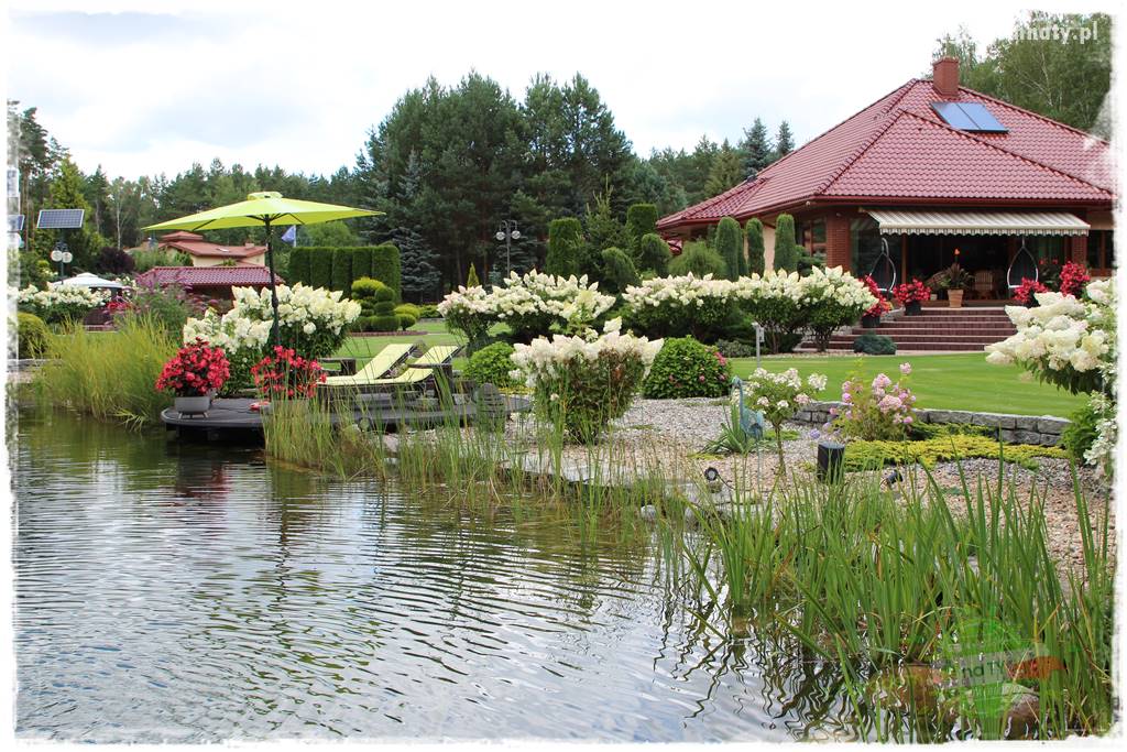 Hortensjowy raj 27