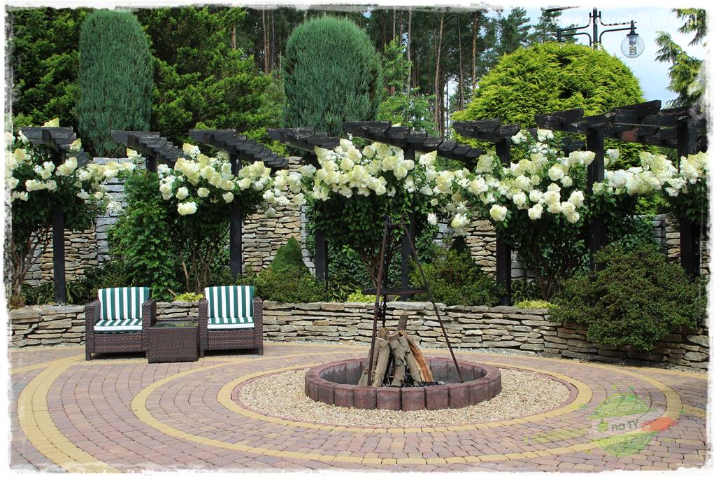 Hortensjowy raj 29 Hortensjowy raj 29